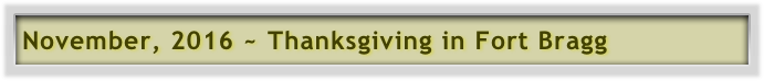 November, 2016 ~ Thanksgiving in Fort Bragg