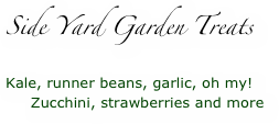 Side Yard Garden Treats

Kale, runner beans, garlic, oh my!
     Zucchini, strawberries and more